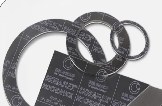 Flexible Graphite Gasket